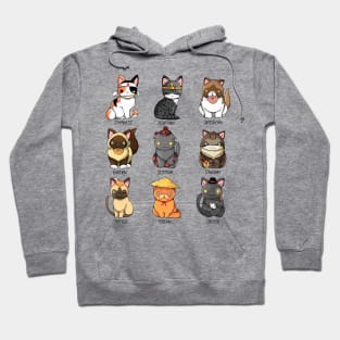 Kitten World Hoodie